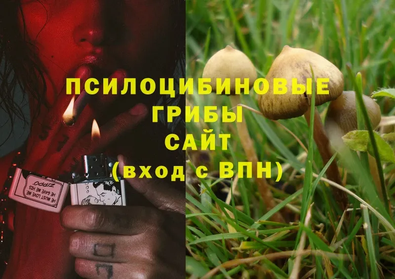 Псилоцибиновые грибы Magic Shrooms  Лянтор 